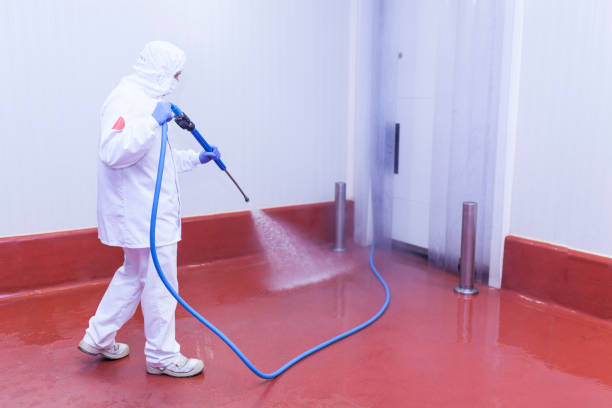 Best Solar Panel Cleaning  in Lofall, WA
